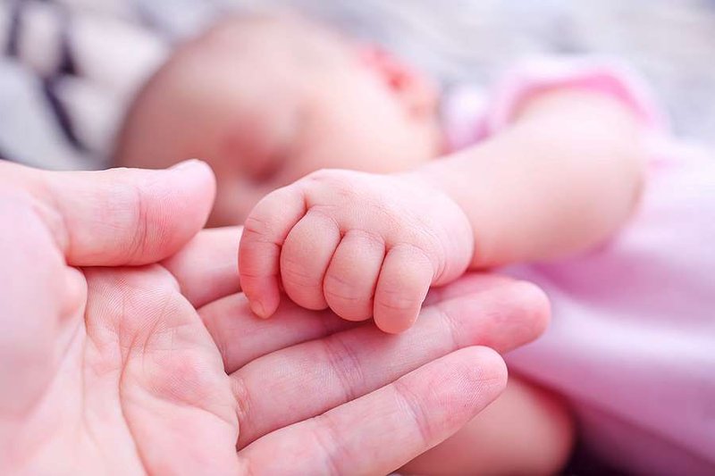Credit: Gayvoronskaya_Yana via www.shutterstock.com.