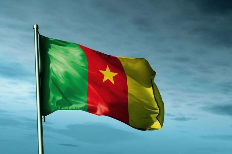 The flag of Cameroon. Credit: Jiri Flogel/Shutterstock.