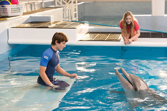 DOLPHIN-TALE