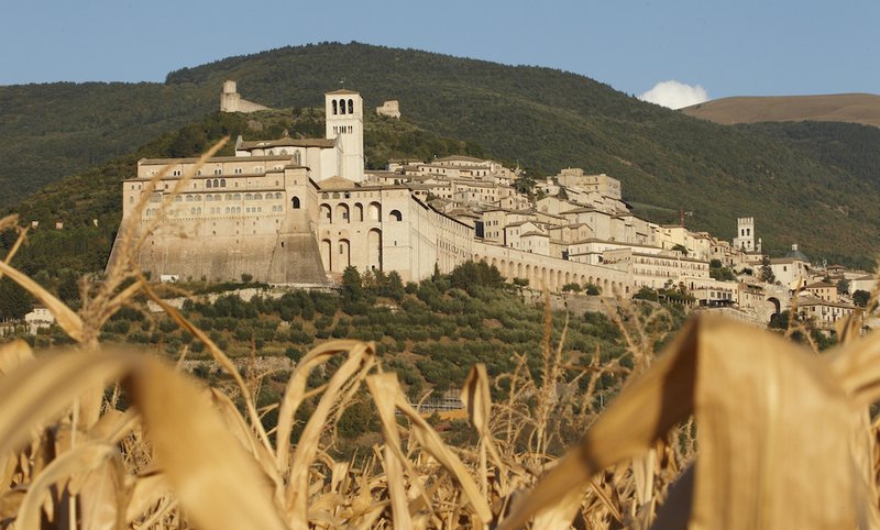 The Basilica of St. Francis with its bell tower is pictured through corn in Assisi