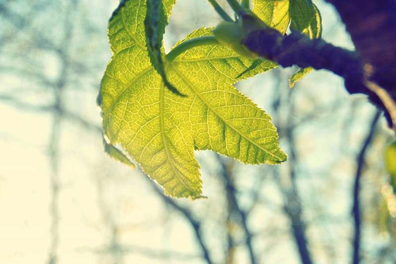 Credit: Unsplash.