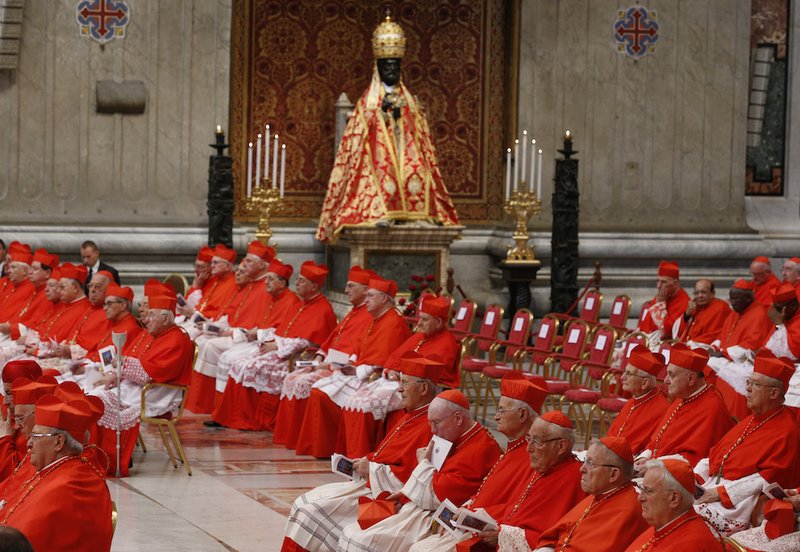 Cardinals are seen during Pope Francis' consistory to create 14 new cardinals in St. Peter's Basilica at the Vatican June 28. (CNS photo/Paul Haring)