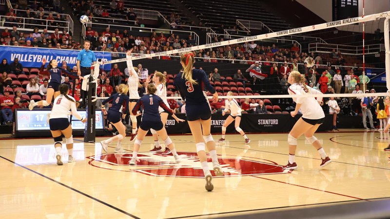 PHOTO COURTESY LMU LIONS