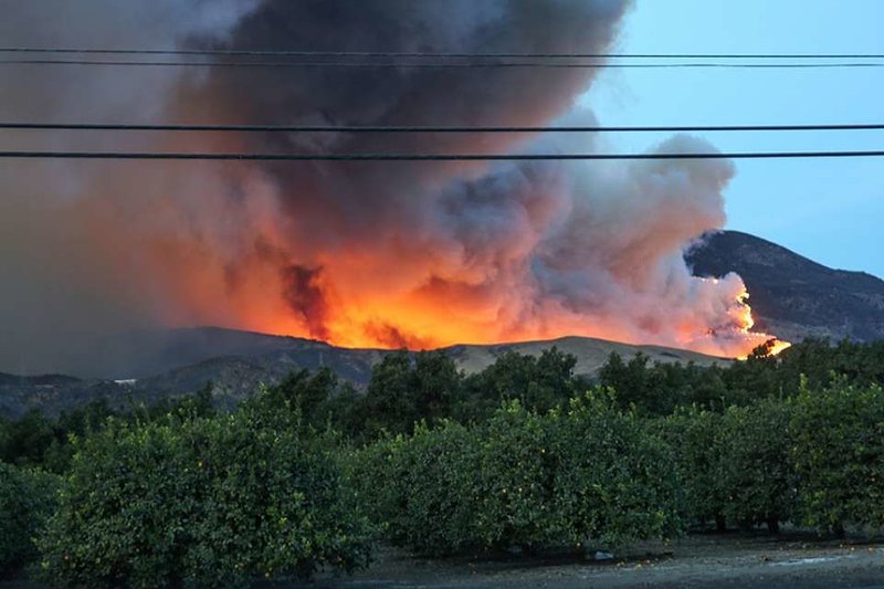 Thomas fire in California. Credit: BrittanyNY/Shutterstock.