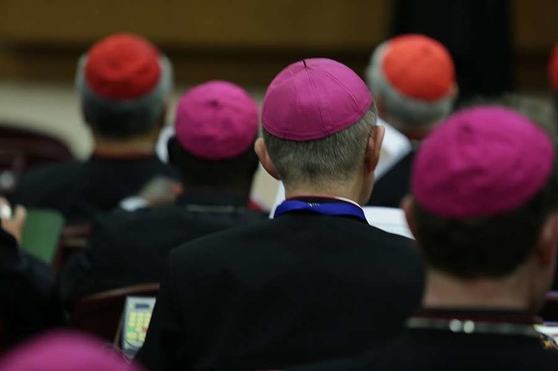 Bishops at the Vatican's Synod Hall