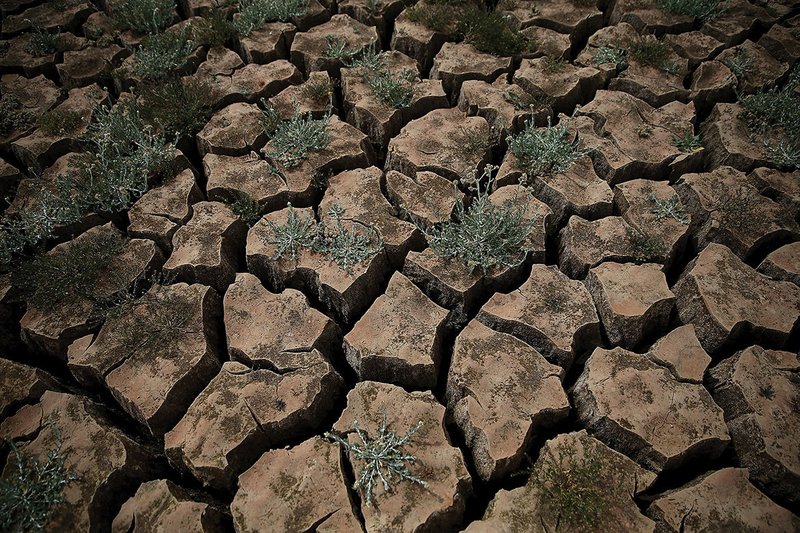 drought