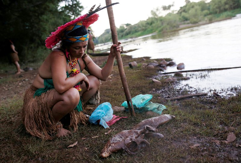 An woman from the Pataxo Ha-ha-hae tribe looks at dead fish near the Paraopeba River after a tailings dam owned by Brazilian mining company Vale SA collapsed near Sao Joaquim de Bicas