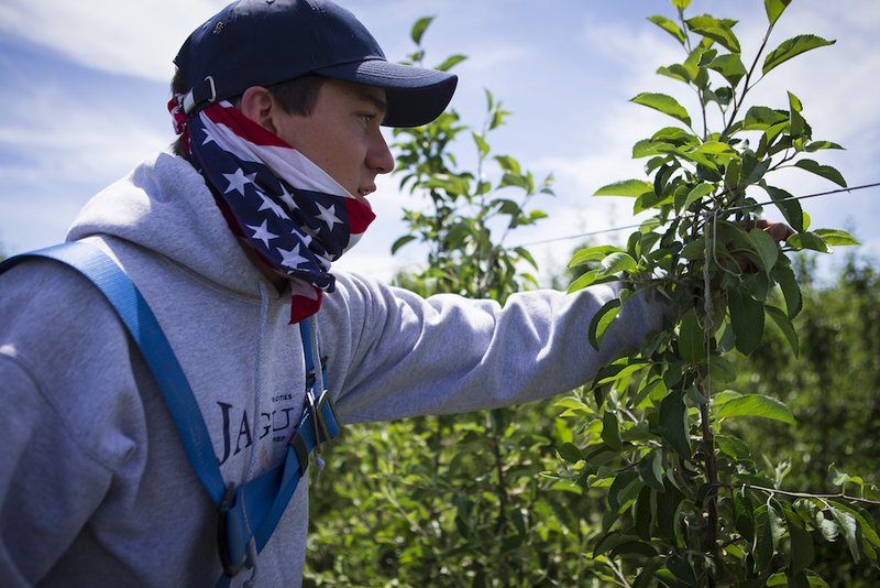 Chris Yakawich, an intern for the Diocese of Yakima, Wash., discerning the priesthood, hooks a young apple tree to a stabilizing wire May 29 in a field in Prosser, Wash. Yakawich joined seminarians from the Diocese of Yakima, who are required to work in the agricultural fields with […]