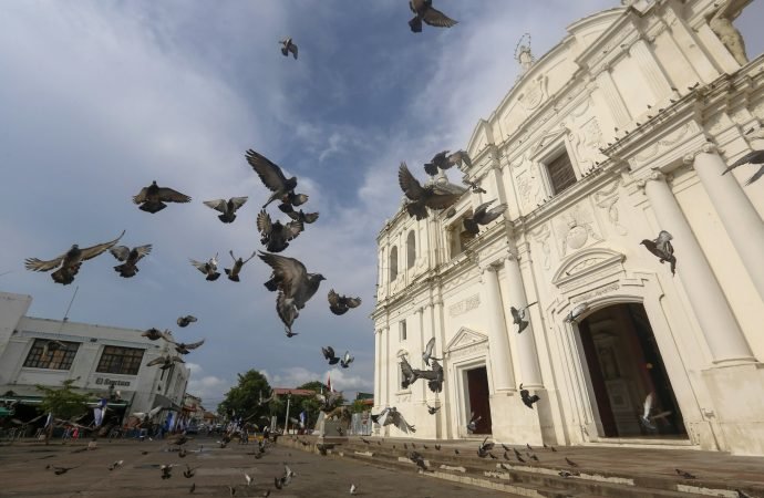 Doves fly in front of Leon Cathedral in Leon
