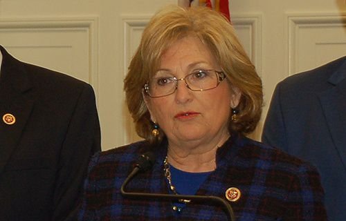 Diane Black (R-Tenn.) speaks at a news conference on religious freedom
