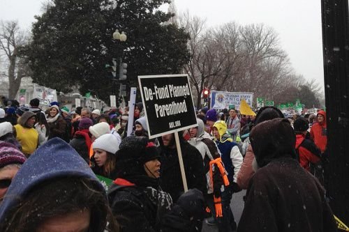 A prolife supporter holds a Defund Planned Parenthood sign at the March for Life