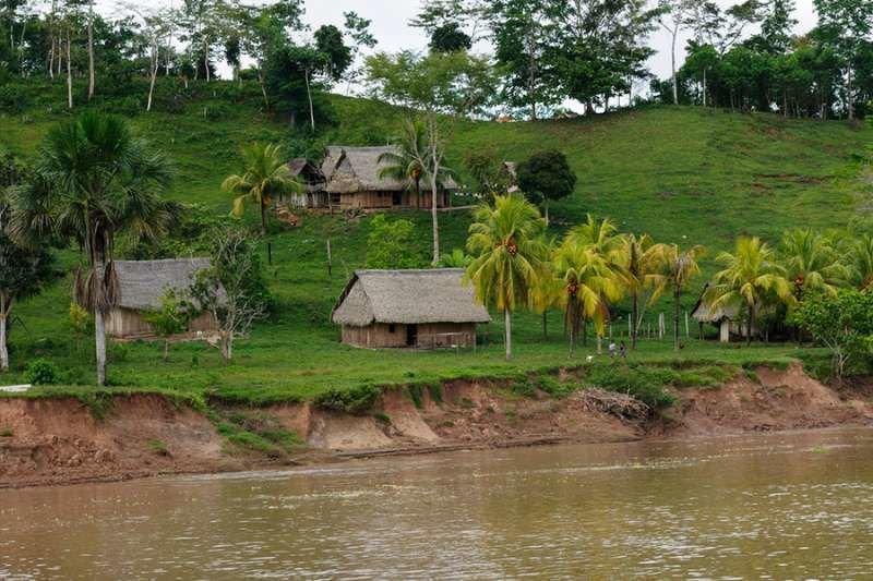 The Peruvian Amazon. Credit: Rafal Cichawa/Shutterstock.