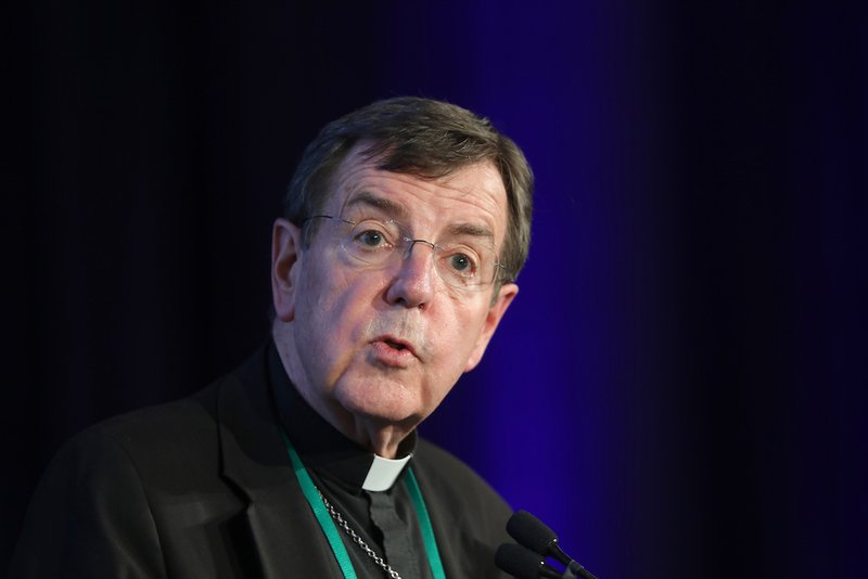 Detroit Archbishop Allen H. Vigneron speaks during the spring general assembly of the U.S. Conference of Catholic Bishops in Baltimore June 12