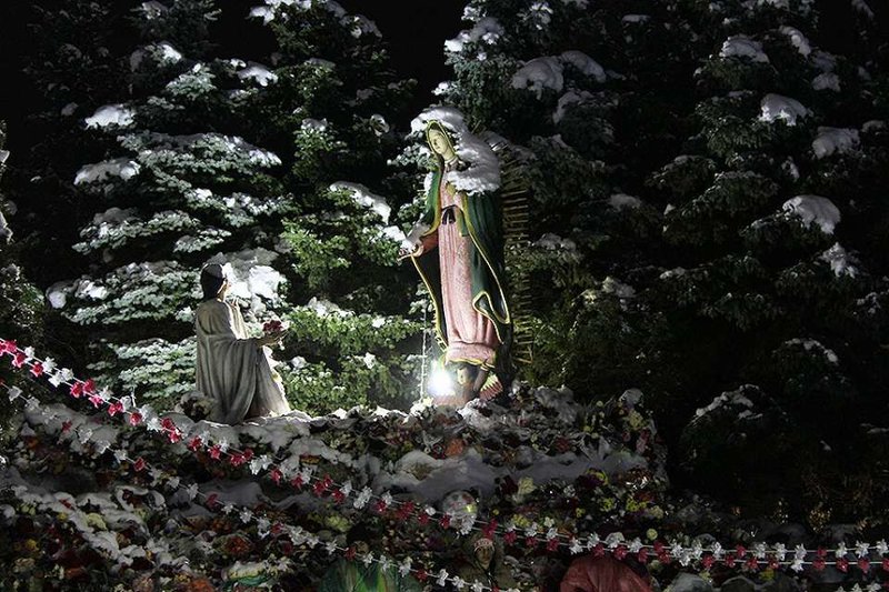 Photo courtesy of the Shrine of Our Lady of Guadalupe in Des Plaines