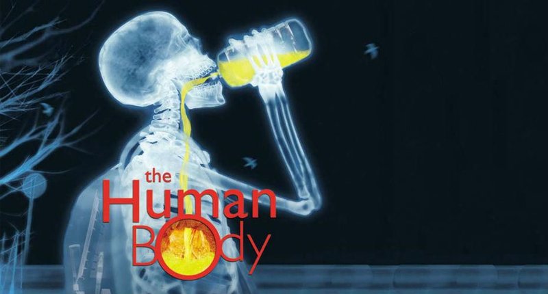 6yz2ej7mxx imax humanbody