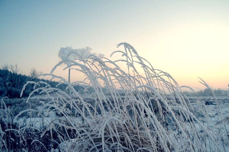Frosty winter in the countryside near Kyiv