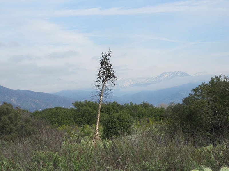 7187piux9o santa fe dam LA County