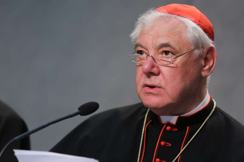 Cardinal Gerhard Müller