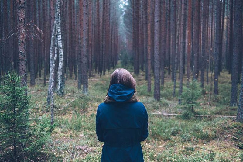 (Unsplash/CNA)