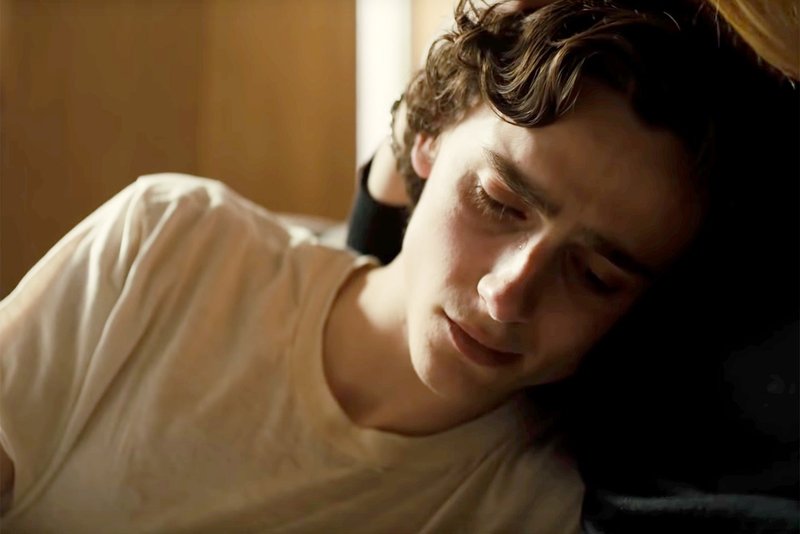 Timothee Chalamet plays Nic