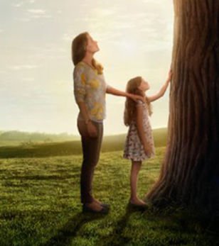 Miracles from heaven