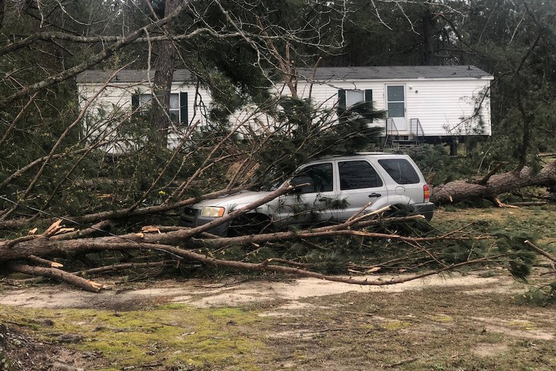 A tree is seen on top of a car March 4