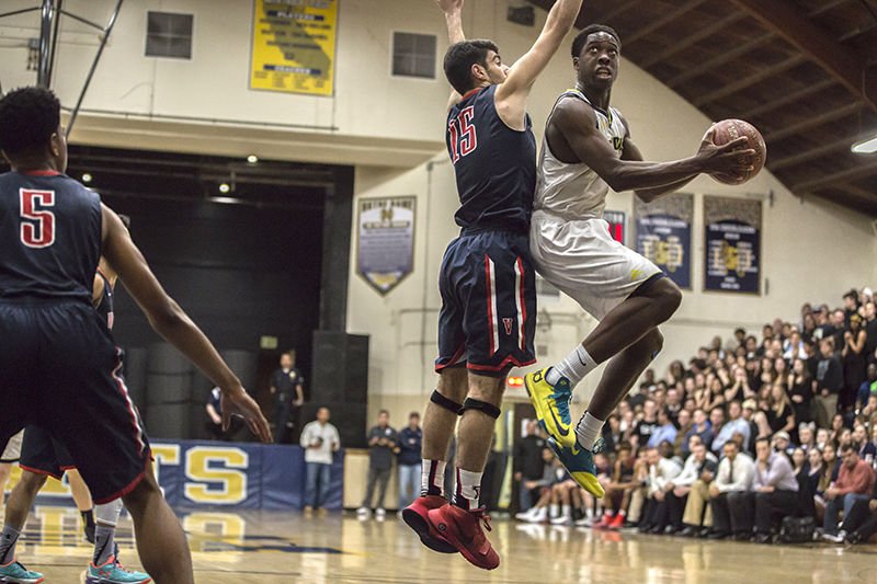 Notre Dame Knights basketball