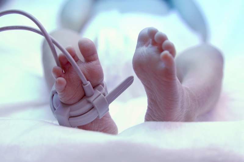 Premature baby. Credit: Praisaeng/Shutterstock.