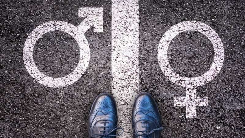 Gender. Credit: delpixel / Shutterstock.