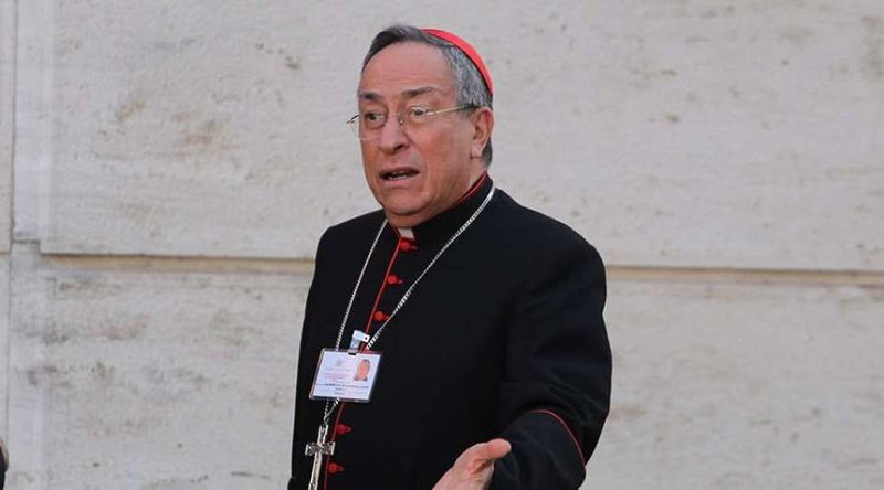 Cardinal Oscar Andrés Rodríguez Maradiaga. Credit Bohumil Petrik / ACI Prensa