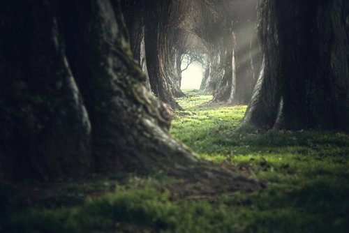 SHUTTERSTOCK