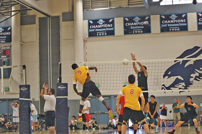 volleyball