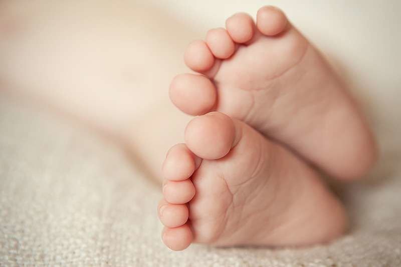 Credit: Eleonora_os / Shutterstock.