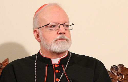 Cardinal Sean O'Malley speaks with CNA in Rome on Feb. 4