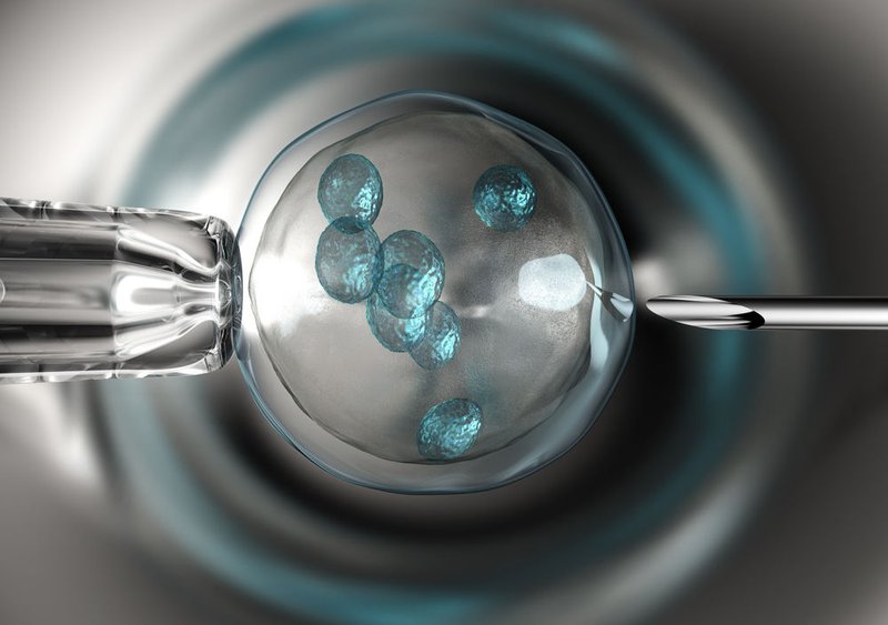 (Shutterstock image)