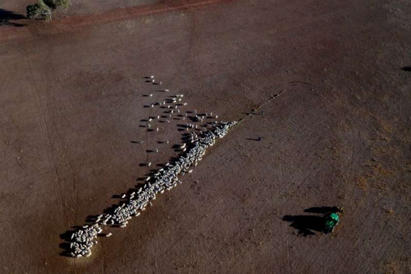 Australian drought. Credit: Glenn Nicholls / AFP / Getty.