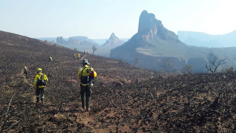 Firefighters near Robore
