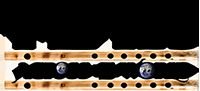 Flutes Across the World