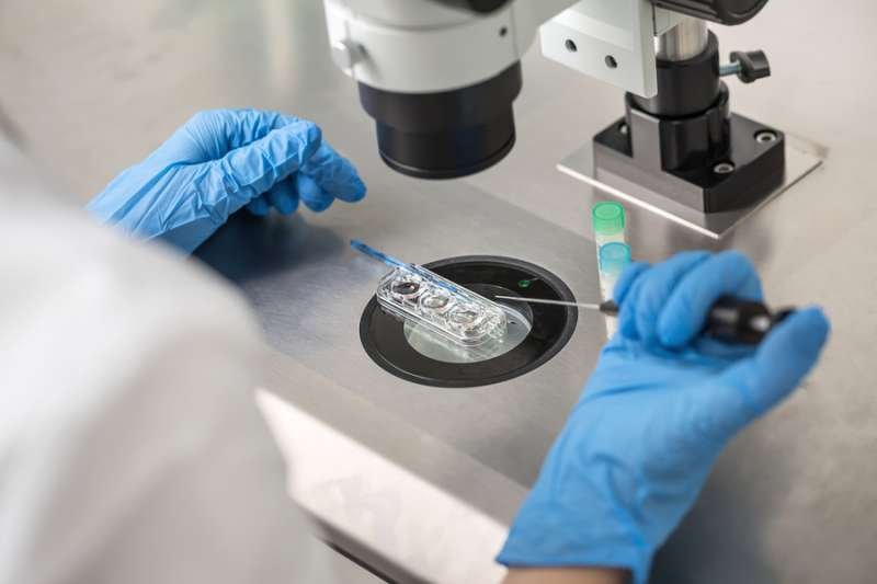 Technician does control check of the in vitro fertilization process using a microscope. Via Shutterstock