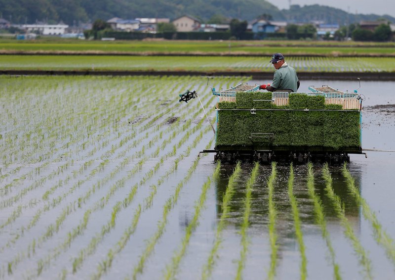 World health depends on changing way food is made, eaten, say speakers ...