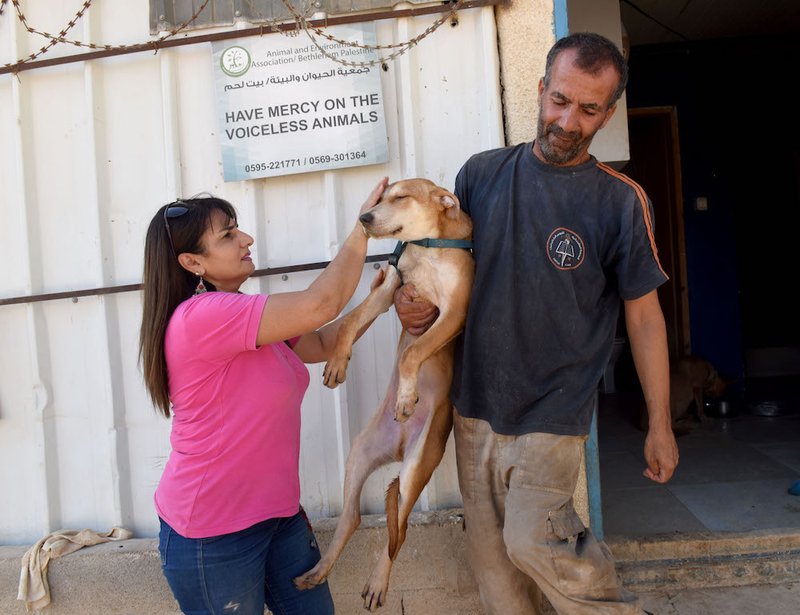 Diana Babish pets a dog being held by Younis Jubran Oct. 3 outside Babish's animal shelter in Beit Sahour