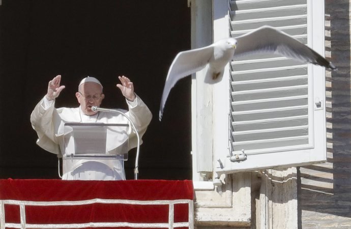 A seagull flies by as Pope Francis delivers his blessing during the Angelus noon prayer he recited from the window of his studio overlooking St. Peter's Square at the Vatican