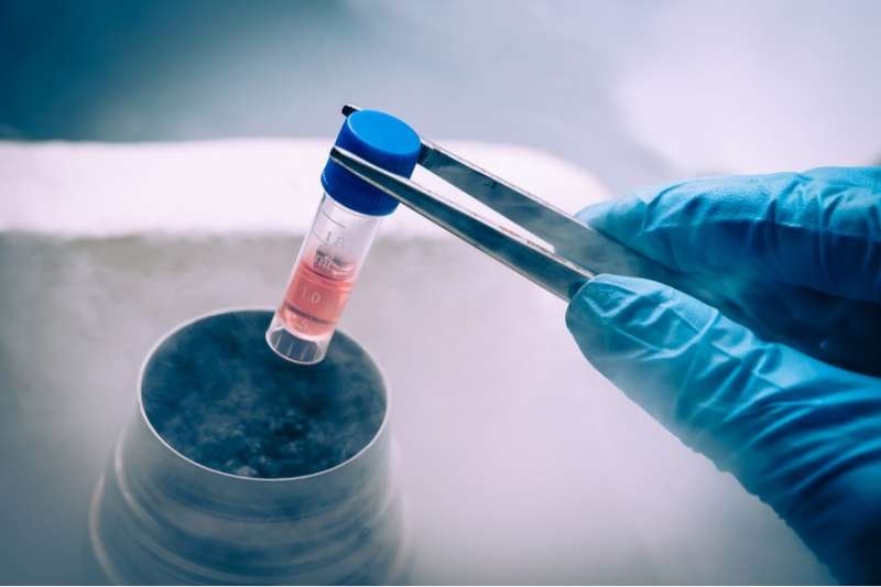 A Liquid Nitrogen bank containing suspension of stem cells. Via Shutterstock