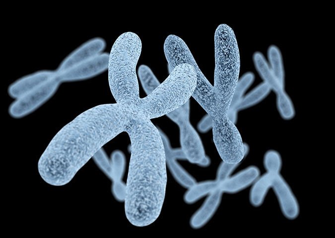 DNA editing