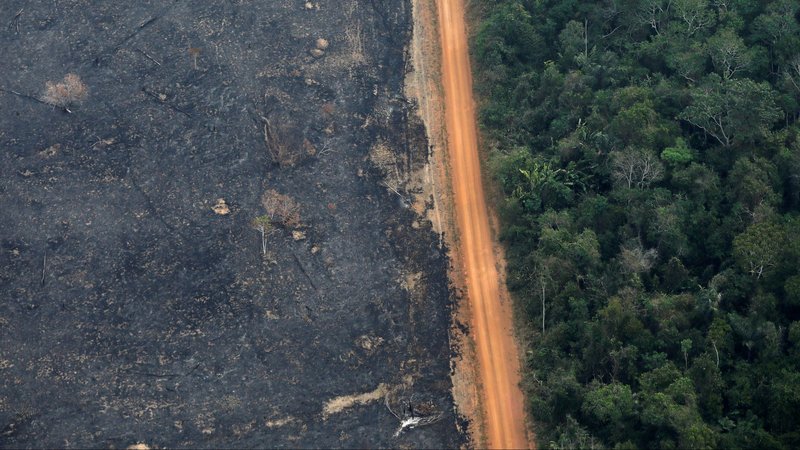 An aerial view shows a deforested plot of the Amazon near Porto Velho, Brazil, Sept. 17, 2019. (CNS photo/Bruno Kelly, Reuters)