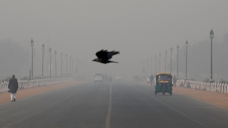 A bird flies through smog in New Delhi, India, Nov. 13, 2019. Pope Francis told participants at a Vatican City conference on criminal justice Nov. 15, that there are plans to include a definition of ecological and other "psycho-social phenomenon" hate sins in the Catechism of the Catholic Church. (CNS photo/Anushree Fadnavis, Reuters)