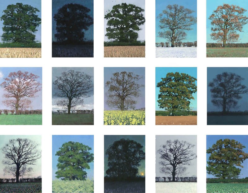 From Stephen Taylor’s “Small Oak” series. © STEPHEN TAYLOR, STEPHENTAYLORPAINTINGS.COM