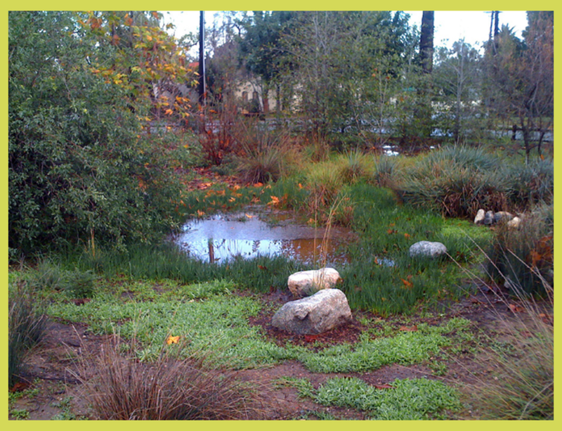 PHOTO VIA ARLINGTONGARDENPASADENA.COM