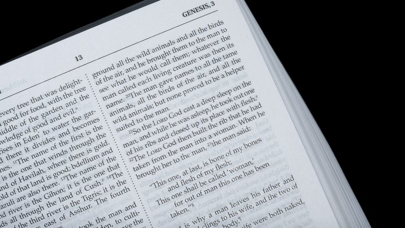 A recently released book explores what the Bible says about being human. "What Is Man? An Itinerary of Biblical Anthropology," is the result of five years of study by scripture scholars and theologians on the Pontifical Biblical Commission. (CNS photo/Paul Haring)