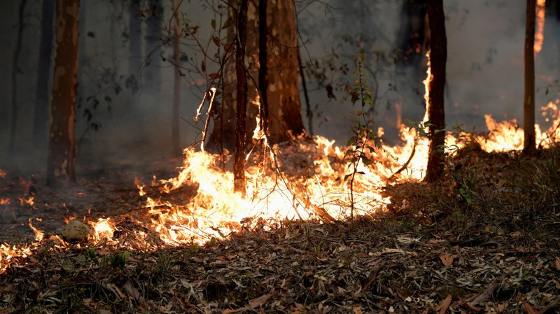 Flames from a bush fire are seen along the Princes Highway near in Milton, Australia, Jan. 5, 2020. Soaring temperatures, often higher than 100 degrees Fahrenheit, and a protracted drought have contributed to an unprecedented national emergency which, by Christmas, had already seen more than 14.5 million acres of forest and rural land burned. (CNS photo/Tracey Nearmy, Reuters)